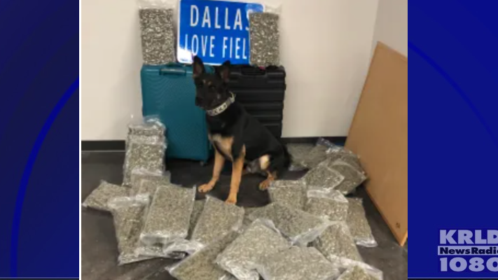 Big marijuana bust at Dallas Love Field Airport thanks to K-9