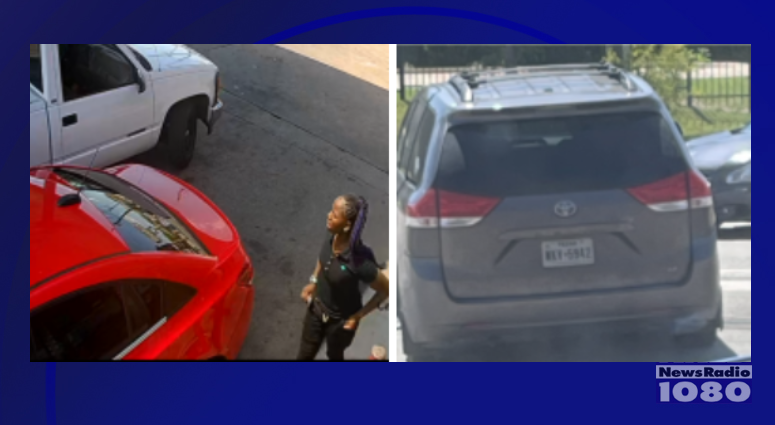 Dallas Police Shooting Suspects