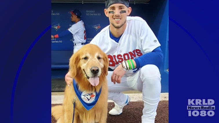 Video: Bat dog interrupts Minor League Baseball game, just wanted to work