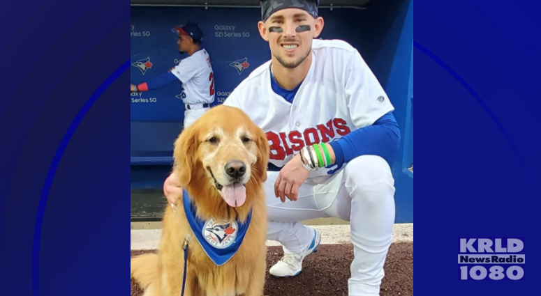 Dog interrupts Minor League Baseball game in New York