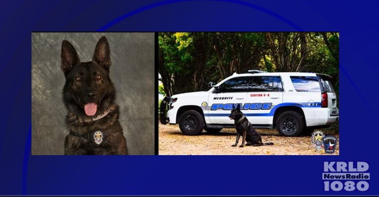 K9 Officer Kozmo