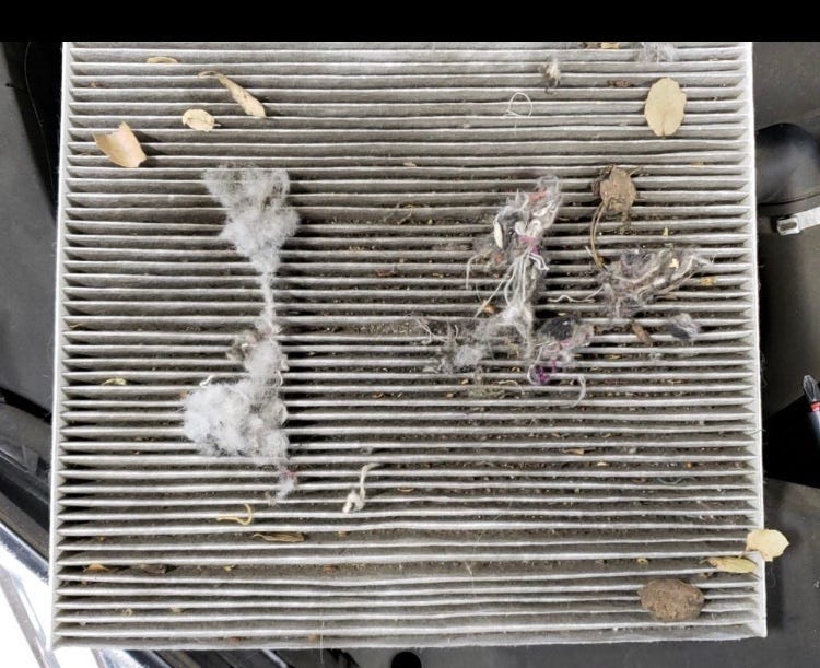 Clogged cabin air filter