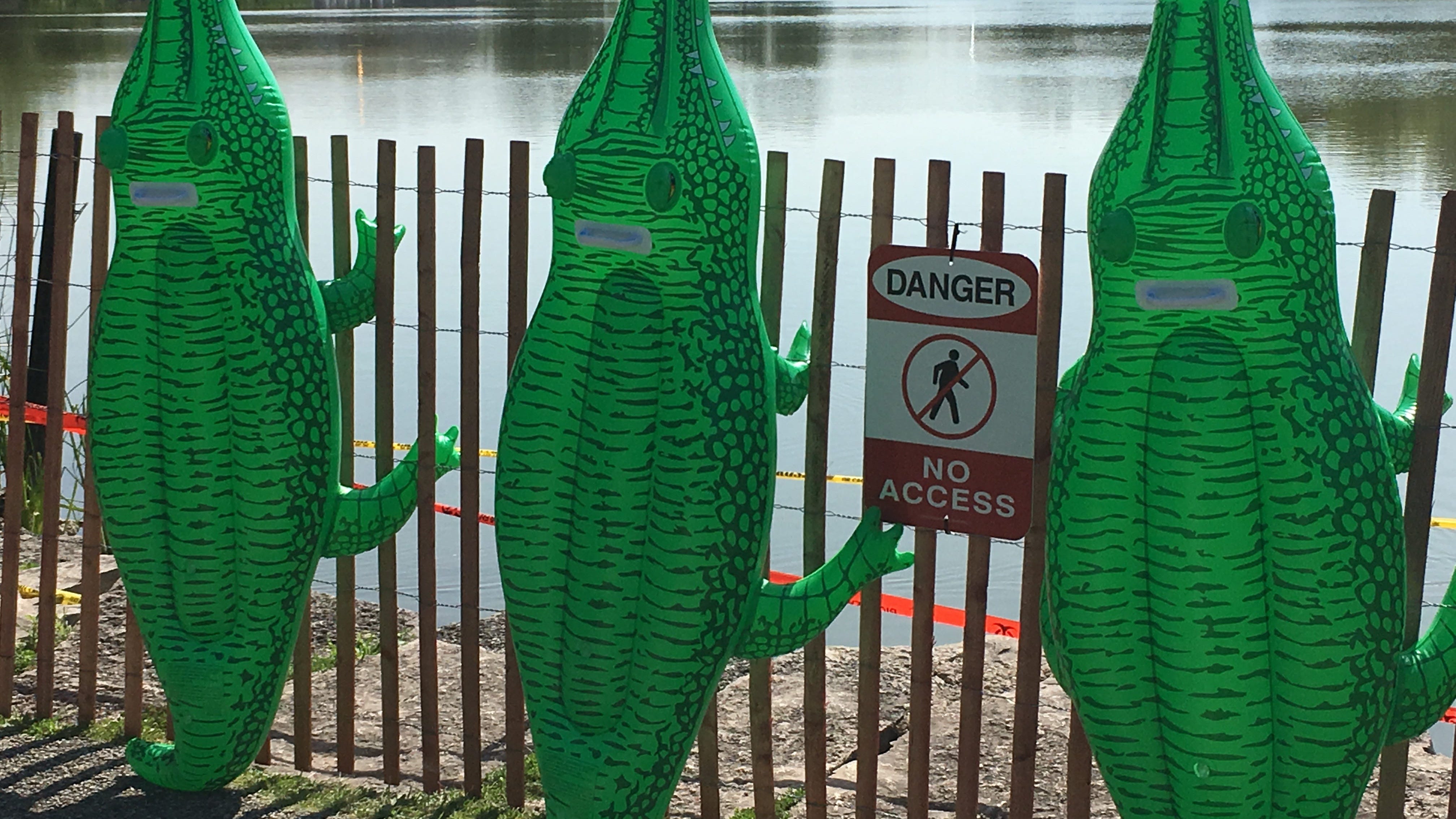 The Search Stretches On For The Humboldt Park Lagoon Gator