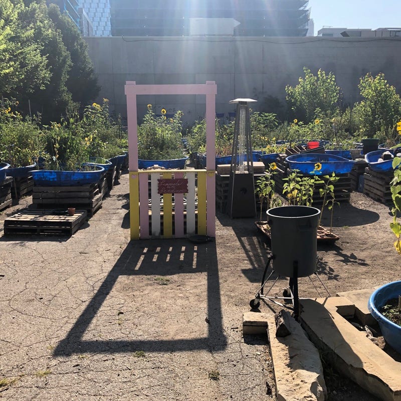 West Loop Community Garden