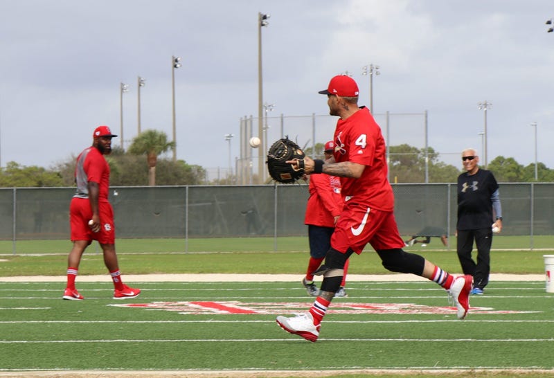 Catcher Yadier Molina joins in on an outfielders drill.