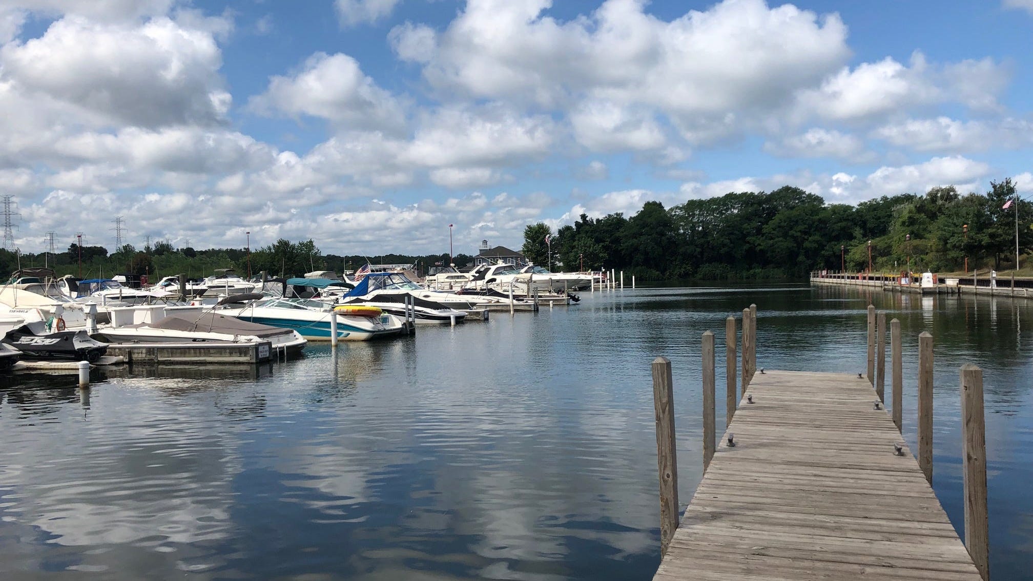 Environmental Authorities Investigate After Dead Fish Found At Portage Marina
