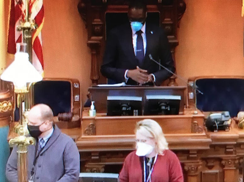 Michigan Senate in masks