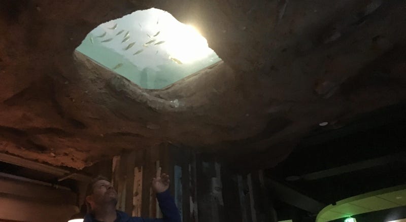 St. Louis Aquarium