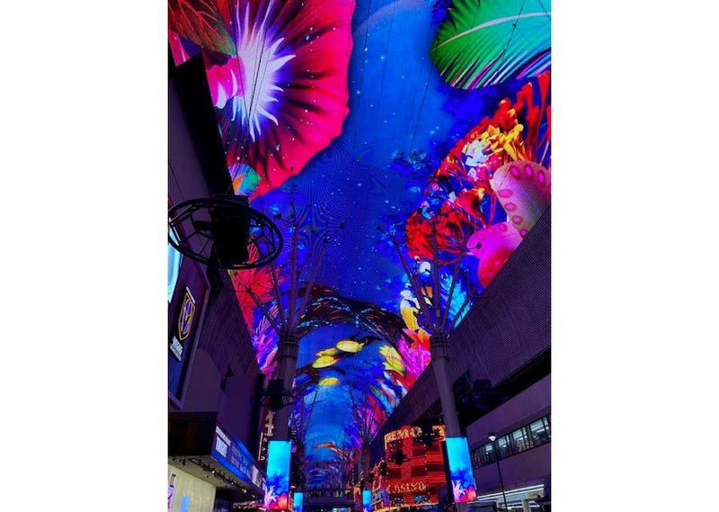 Tim Richards Vegas 2020