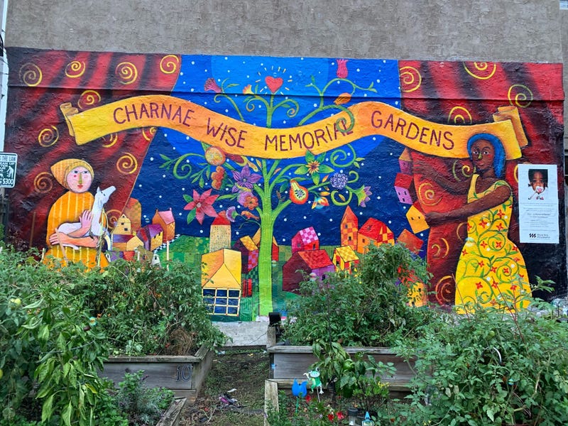 The Charnae Wise Memorial Gardens at 30th and Harper streets, with a recently refurbished mural honoring the young girl who died of neglect in 1997.