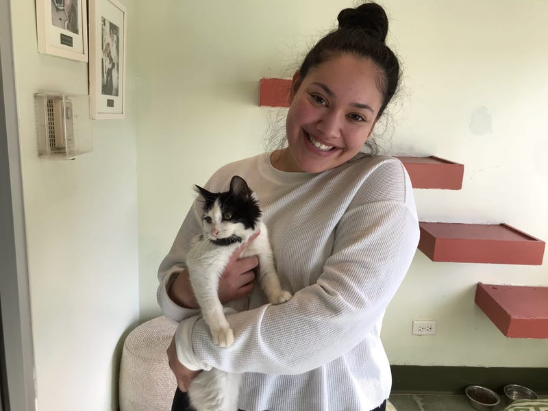 PAWS Chicago hosts annual Adopt-a-Thon