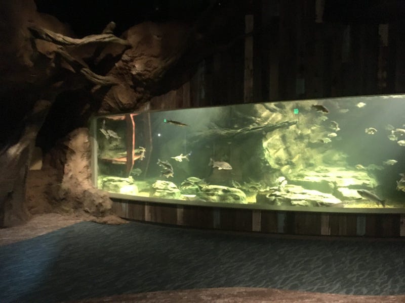 St. Louis Aquarium