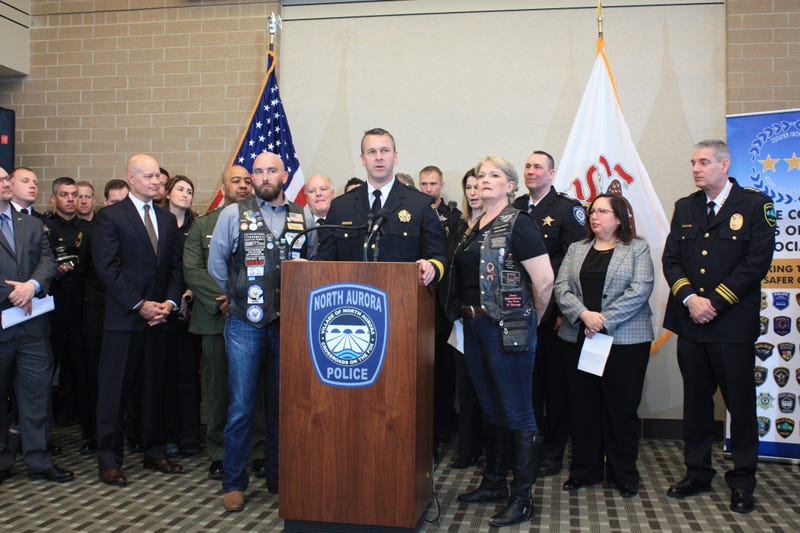 Kane County Sheriff Ron Hain