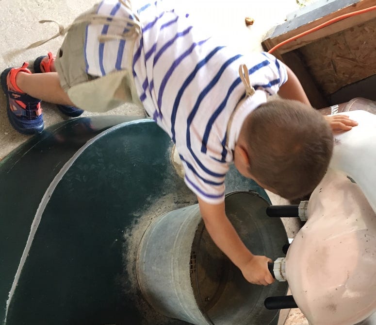 Little boy plays with a cow-milking simulator