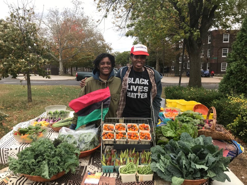 Sankofa Farms at Bartrams Garden