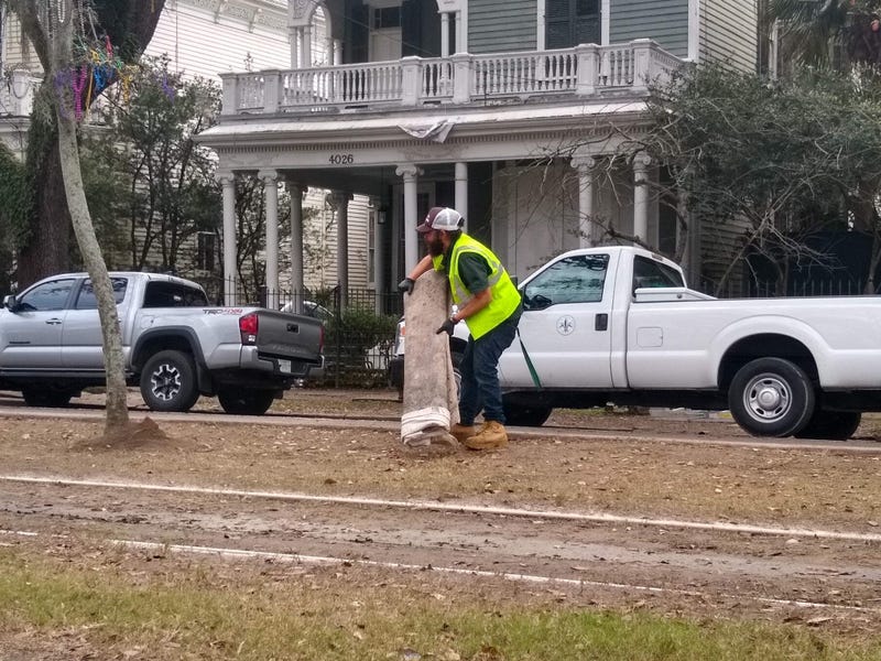 Mardi Gras