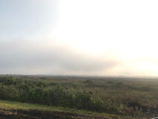 Fire In Everglades
