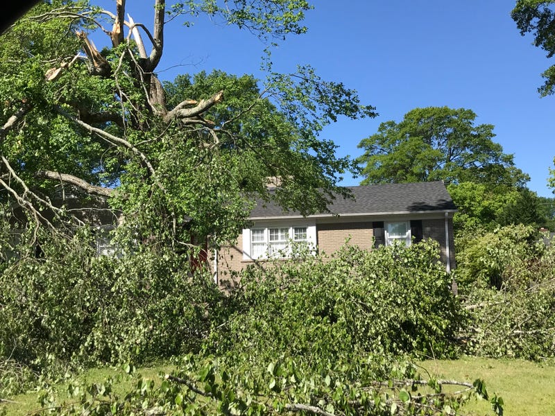 Damage Near Botany Woods