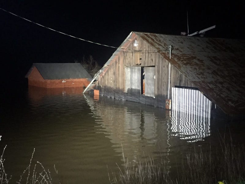 Flooded barn near Guerneville February 28, 2019