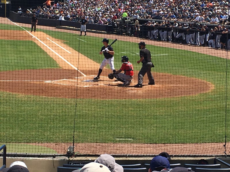 Yankees training 2019