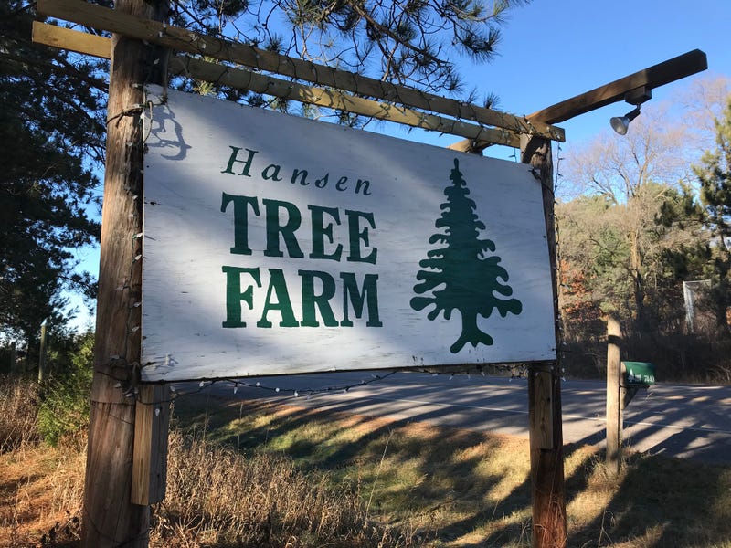 The Hansen Tree Farm located in Anoka, MN.