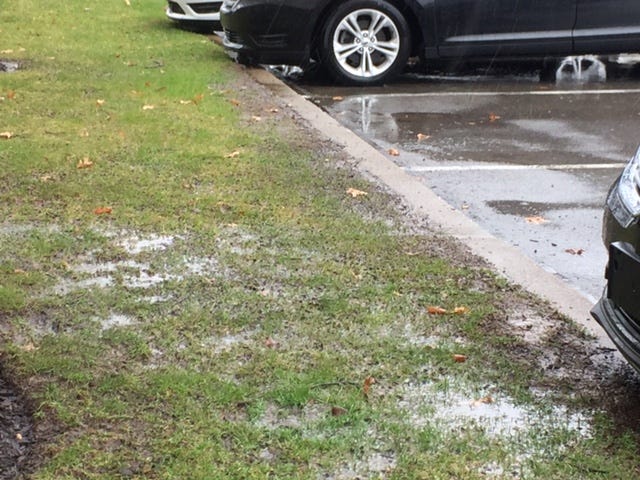 Rain