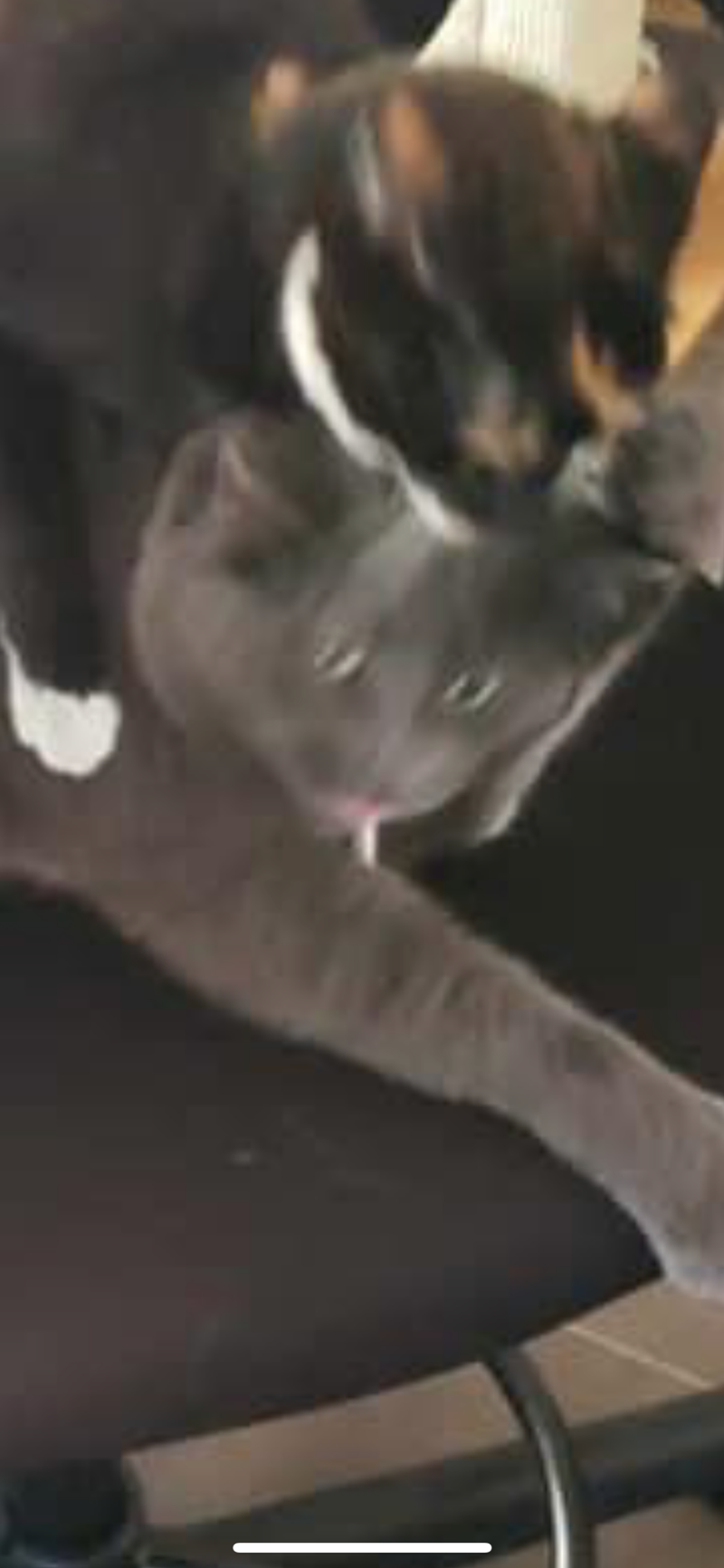 Look at that face