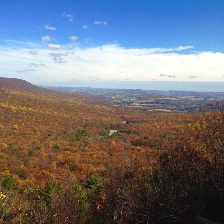 Fall foliage seen in Hawk Mountain Sanctuary, Albany Township, Berks County.
