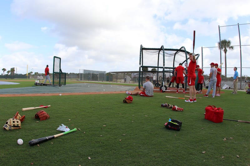 Cardinals, spring training