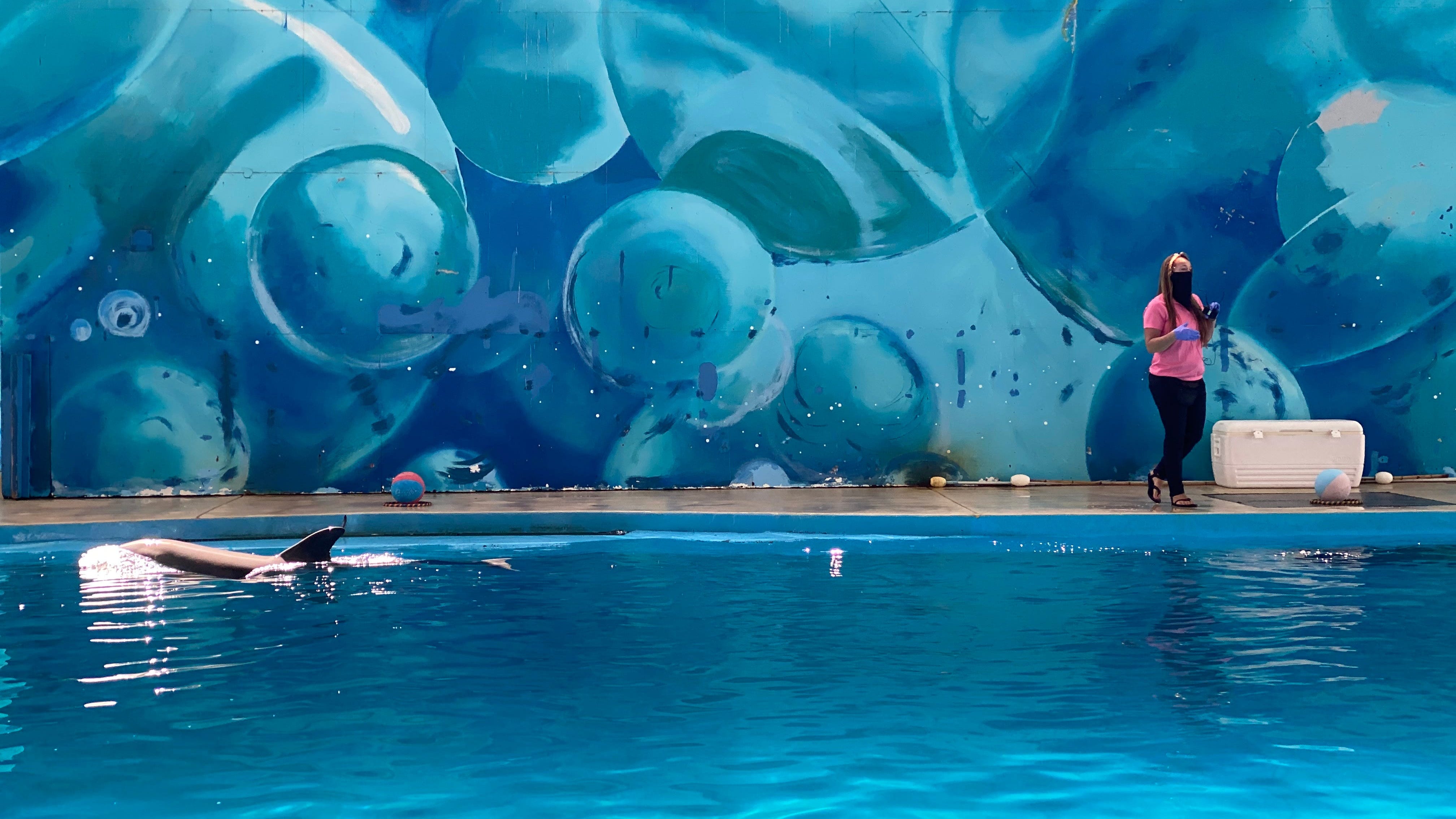 Six Flags Discovery Kingdom Re-Opens Without Rides