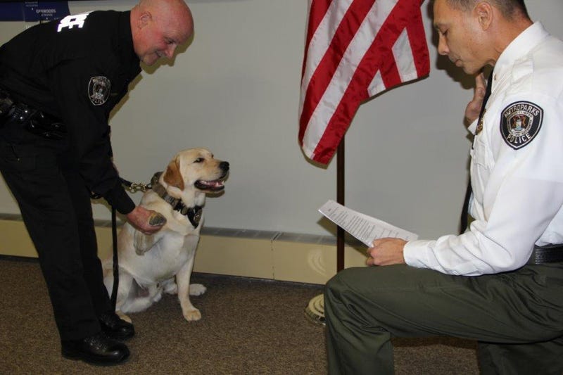 Huron-Clinton Metroparks Police Dog Officer Parks