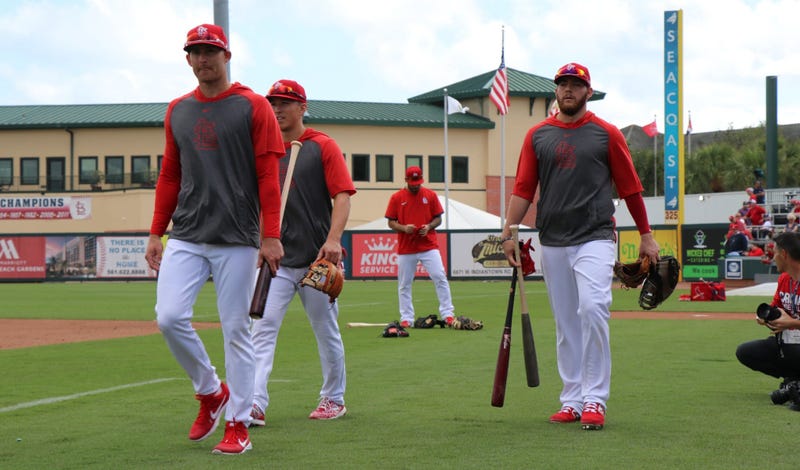 Cardinals
