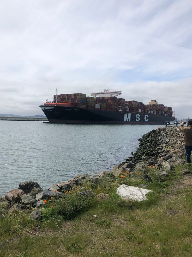 MSC Anna Docked In Oakland