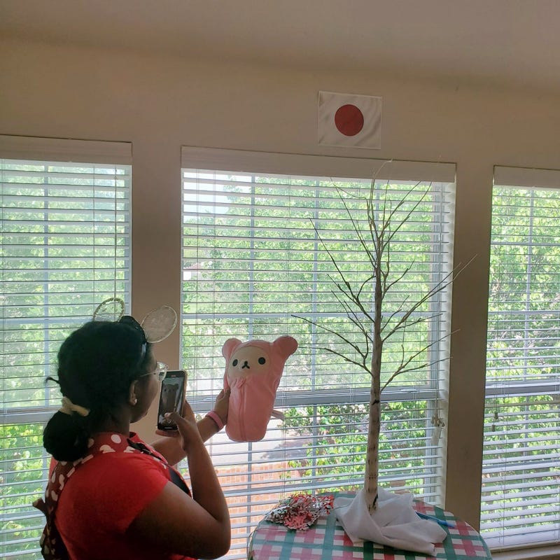 Texas Teen Pretend Trip During Quarantine