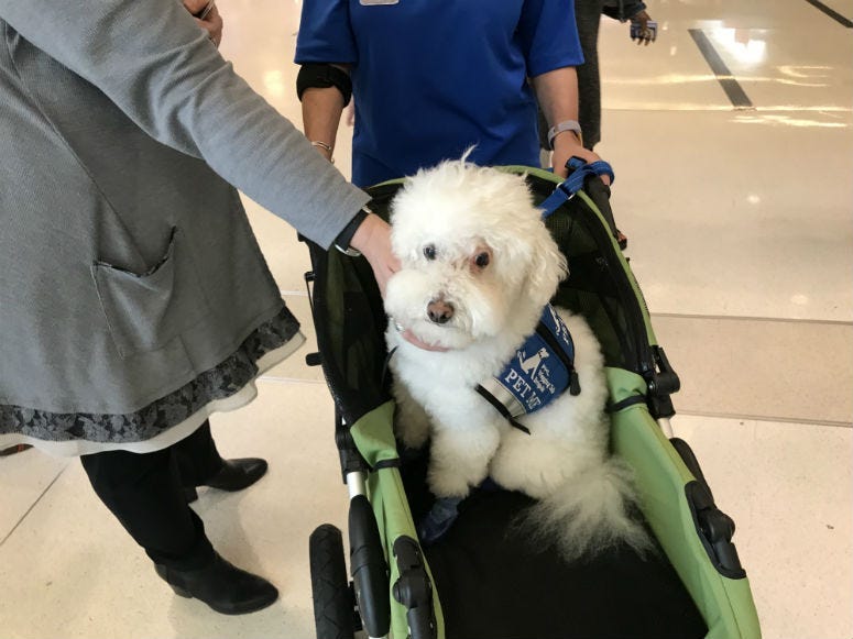 A pilot program to help reduce stress for travelers at Philadelphia International Airport is taking off.    