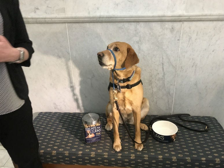 A Montgomery County investigator with the detectives unit and her K-9 therapy dog get recognition for their work with victims and witnesses in the court system.