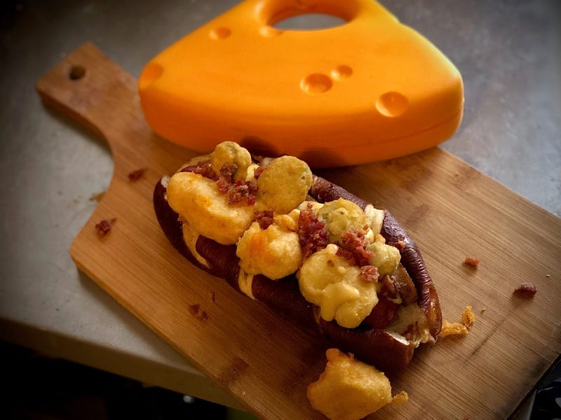 green bay dog