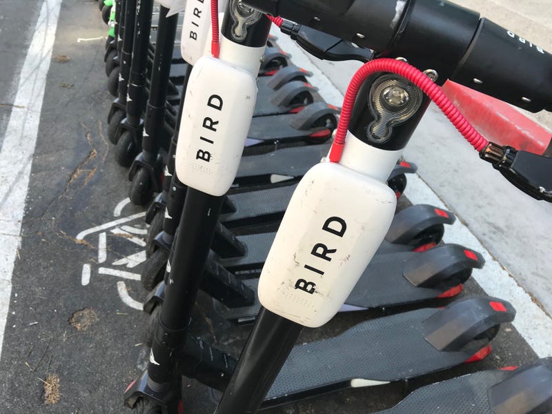 electric scooter