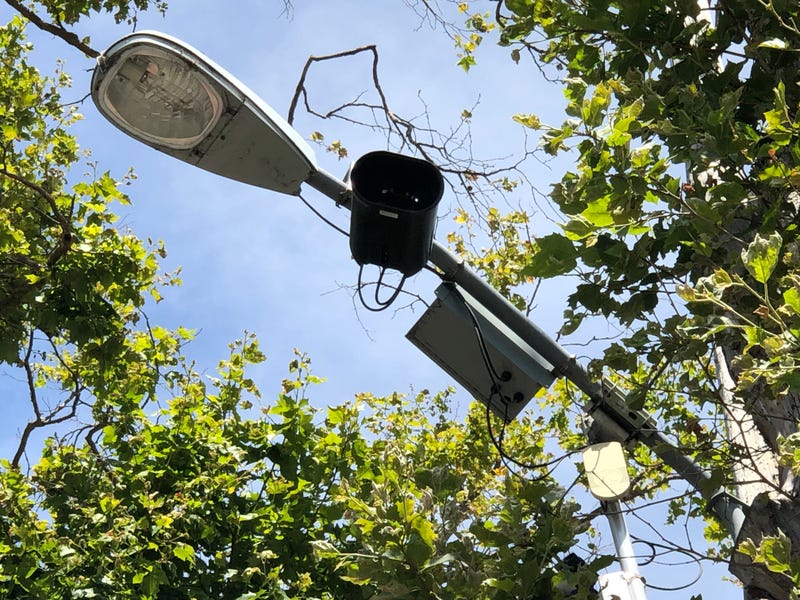 Piedmont officials want to increase the number of cameras that can read license plates as a way to deter and solve crimes. 