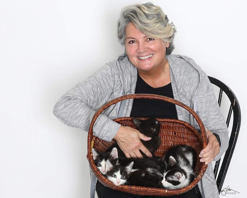 Adopt a pet, cats, kittens, puppies, dogs