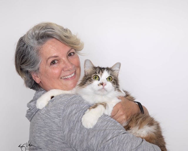 Adopt a pet, cats, kittens, puppies, dogs