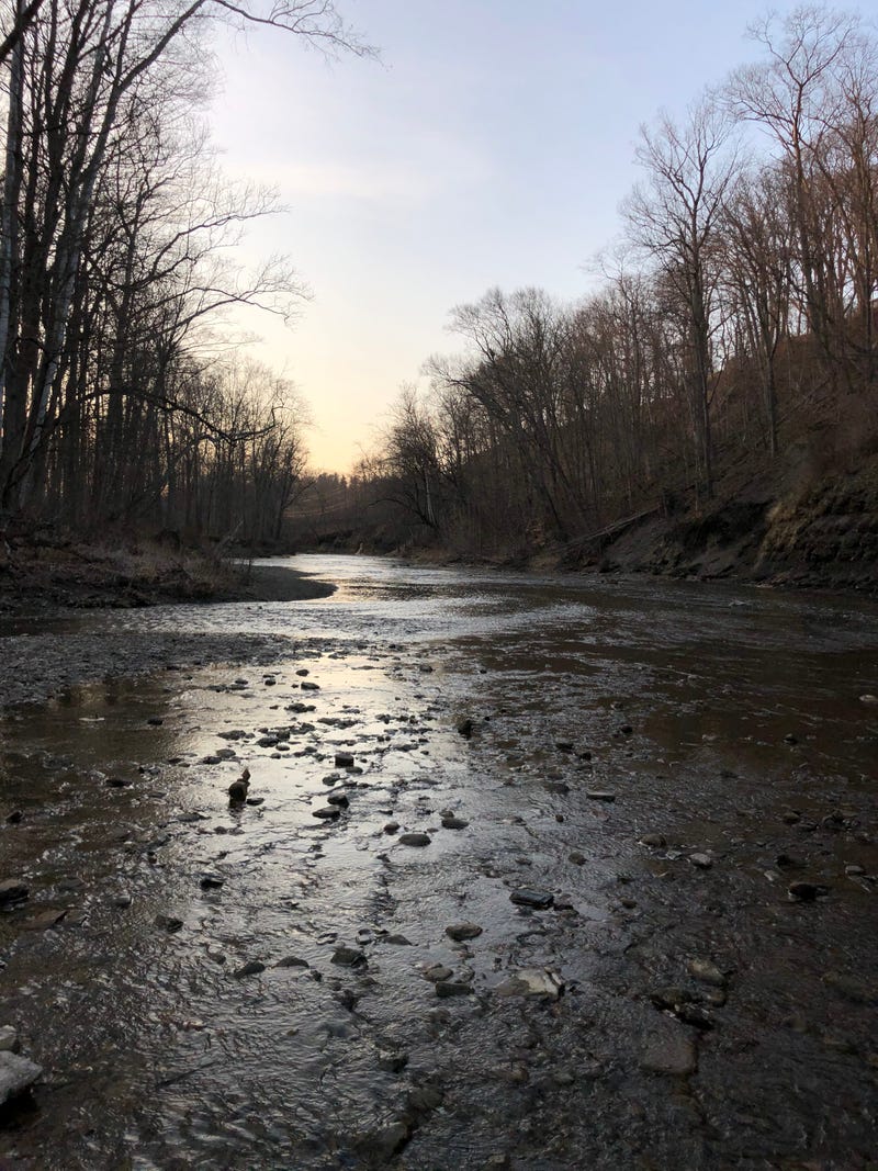 Cleveland Metroparks Rocky River Reservation