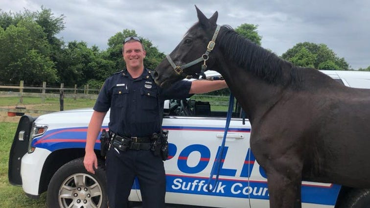Horse Rescued From Sunrise Highway After Escaping Long Island Farm