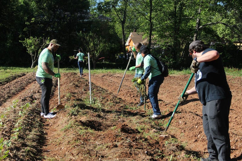 V-103 and Entercom Atlanta employees volunteer at Urban Farms in College Park, GA, on Earth Day 2019