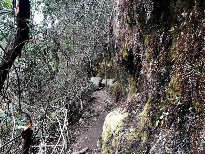 bull creek