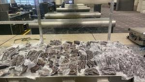 Passenger has 83 pounds of beef jerky seized going through US Customs