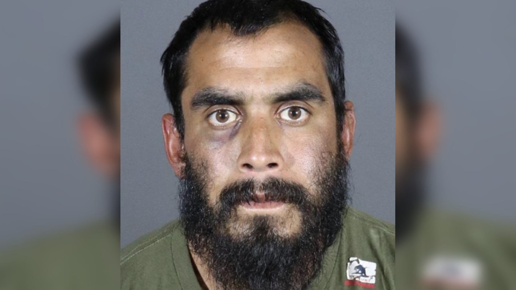 Arrest made in string of Venice arsons, police search for second suspect