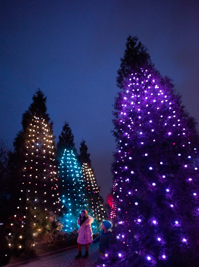 Lightscape at Chicago Botanic Garden