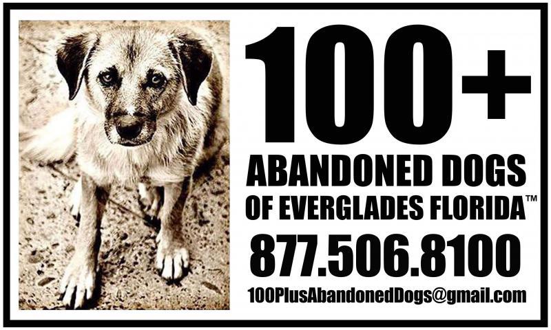 100