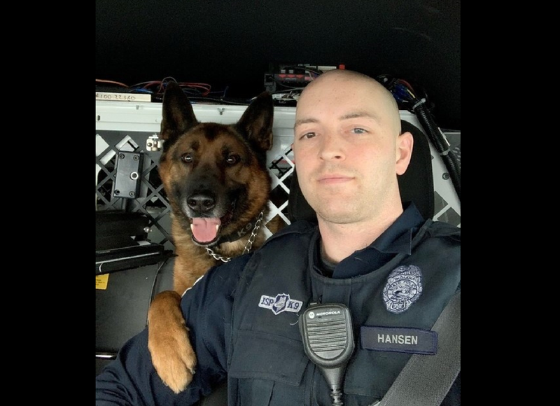 Nikan the Indiana Police K9